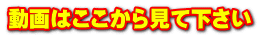 動画はここから見て下さい