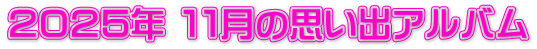 ２０２５年 １１月の思い出アルバム